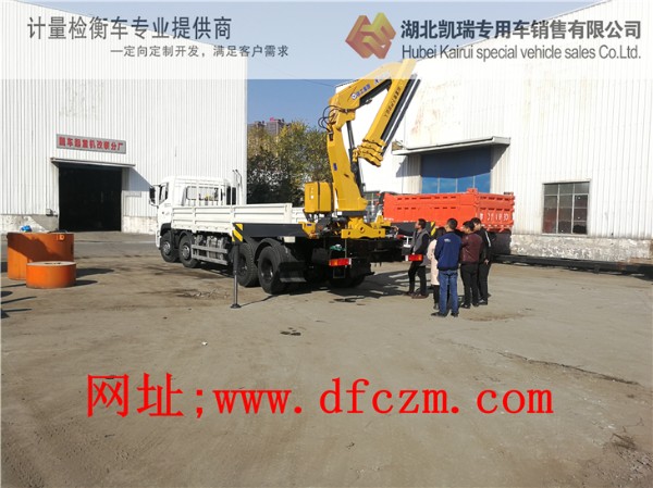 �n���v��z��܇������ע�����